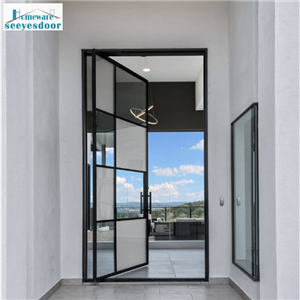 Modern Aluminum Alloy Tempered Glass Pivot Entry Door