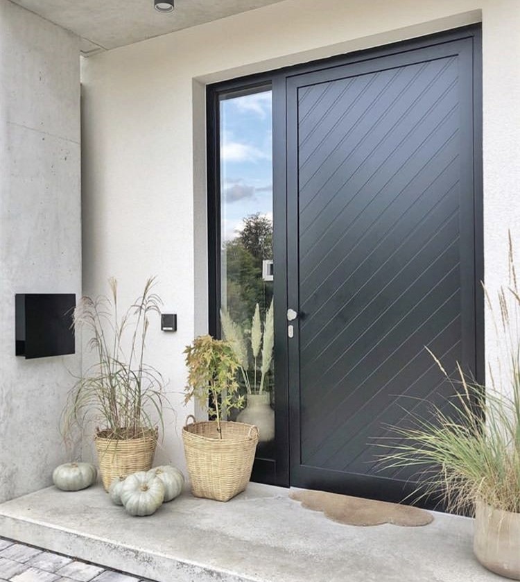two sidelights door