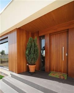 Frosted Tempered Glass SideLight Front Door Nepal  With Steel Frame