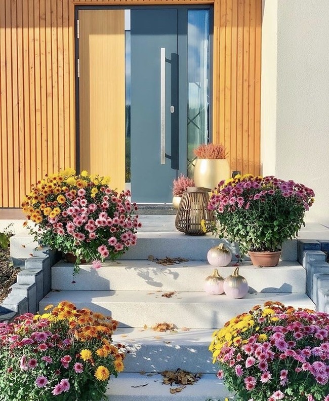 2021 industrial stainless steel main gate aluminum villa Front Door Nepal 