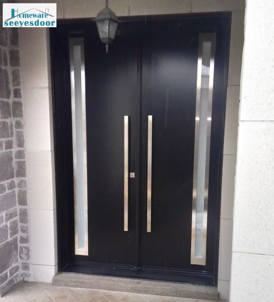 windows entry door windows entry door